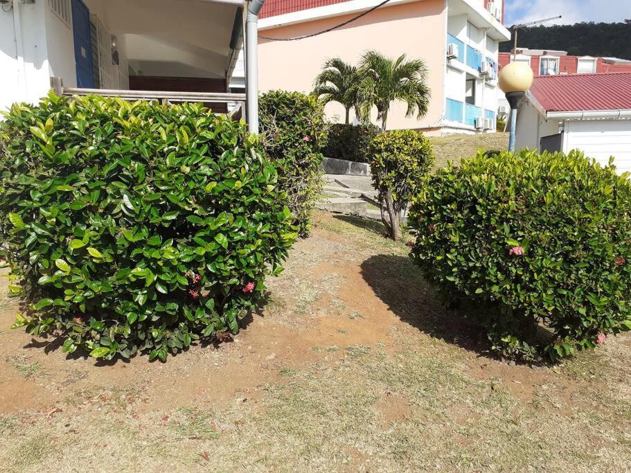 Superbe Studio, A 20 Metres De La Plage, Acces Direct Grande Plage Diamant Le Diamant Exterior foto