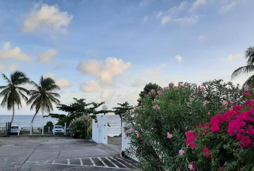 Superbe Studio, A 20 Metres De La Plage, Acces Direct Grande Plage Diamant Le Diamant Exterior foto
